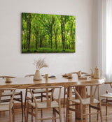 Paul Sinus Wandbild 120x80cm Wald Bäume Sonnenstrahlen Natur Grün Blätter