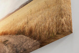 Sinus Art Wandbild 120x80cm Der staubige Weg durch das goldene Feld vermittelt Freiheit, Ruhe und Sommererinnerung