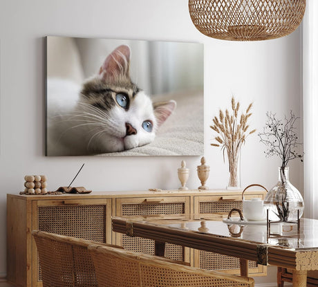 Paul Sinus Wandbild 120x80cm Katze Kätzchen blaue Augen Kater Katzenbaby