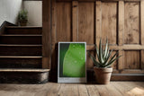 Paul Sinus Kunstdruck 40x60cm Lime Leaf Tropfen Blatt Grün Natur Makro Minimalismus