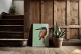 Paul Sinus Kunstdruck 40x60cm Common Kingfisher – Eisvogel auf Ast in brillanter Nahaufnahme mit leuchtenden Farben