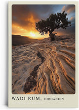 Paul Sinus Leinwandbild 80x120cm Wadi Rum Einsamer Wächter – Mystische Wüstenlandschaft mit Baum und dramatischem Sonnenuntergang in Jordanien, Natur