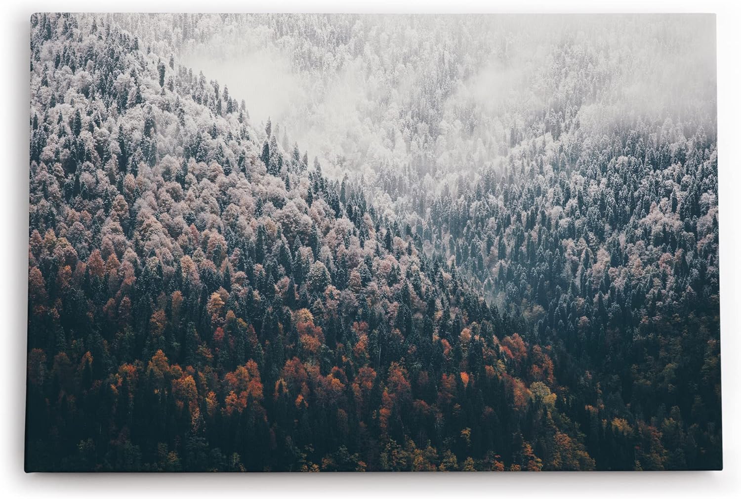 Paul Sinus Wandbild 120x80cm Tannenwald Wald Berg Natur Bäume Nebel Kunstvoll