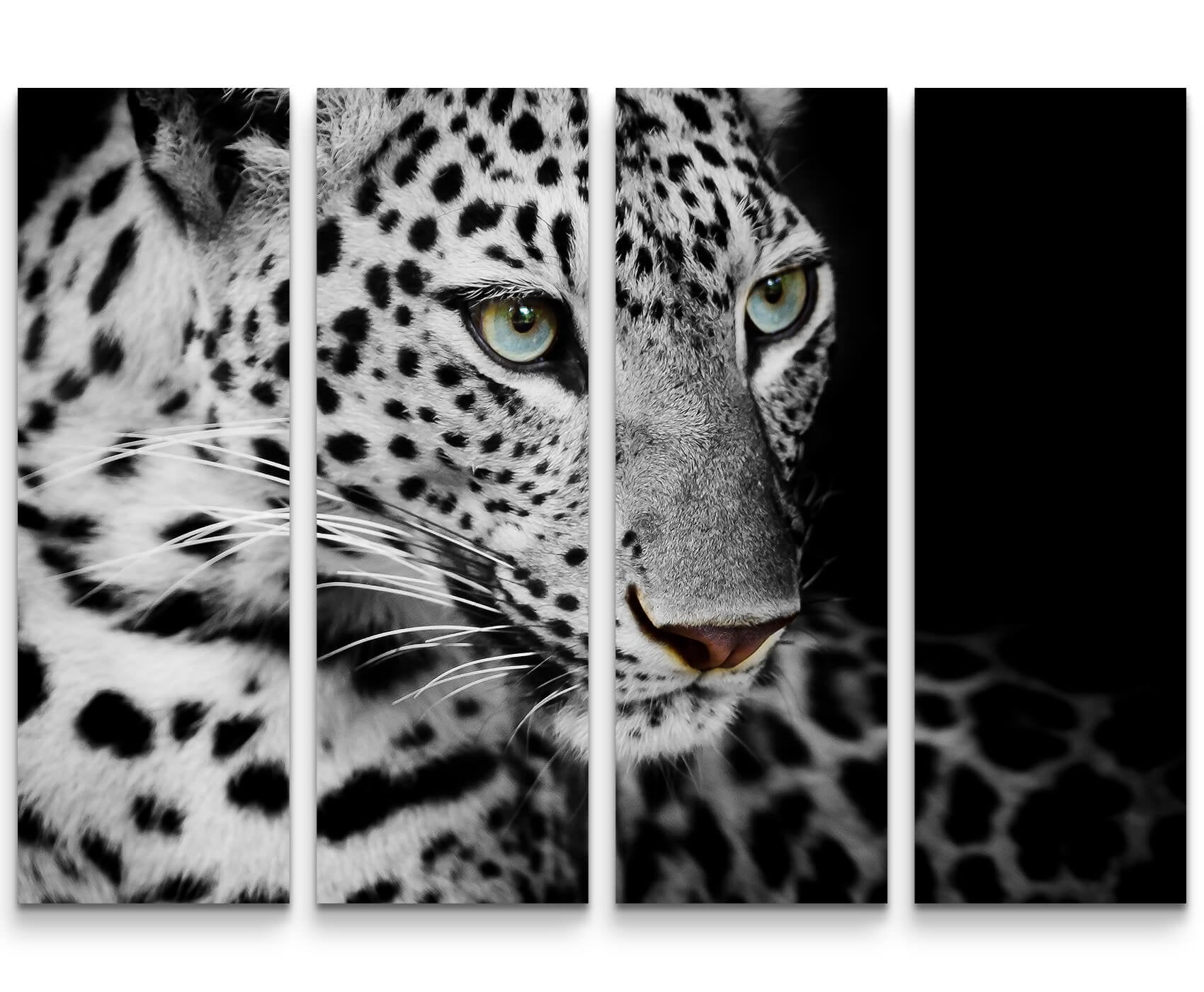Paul Sinus Art Leinwandbilder | Bilder Leinwand 60x60cm Portrait eines liegenden Leoparden schwarzweiß