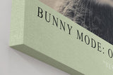 Paul Sinus Wandbild in 40x60cm Bunny Mode: On – Humorvolles Kaninchenporträt in Schwarz-Weiß mit neugierigem Blick
