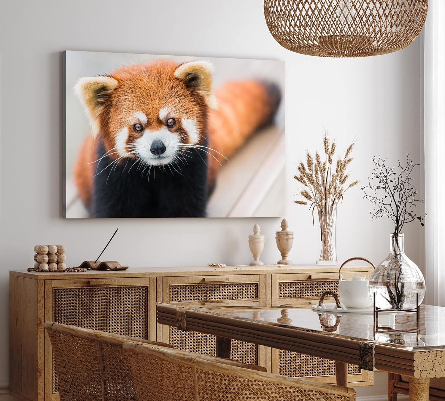 Paul Sinus Wandbild 120x80cm Kleiner roter Panda Tierfotografie Süß Flauschig