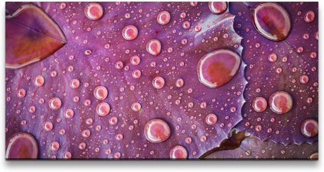 Wassertropfen auf einem Blatt ca. 130x70cm Wandbild inklusive Schattenfugenrahmen schwarz - Panorama Leinwand Bild XXL Format Wandbilder Wohnzimmer Wohnung Deko Kunstdrucke