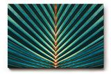 Sinus Art Wandbild 120x80cm Grafisches Palmenblatt mit symmetrischer Form – faszinierender Blickfang