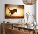 Paul Sinus Wandbild 120x80cm Gnu Antilope Afrika Wildnis Tierfotografie Bulle