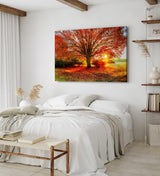 Paul Sinus Wandbild 120x80cm Großer Baum Feld Sonnenuntergang Herbst Laub