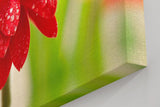 Sinus Art Wandbild 120x80cm Nahaufnahme einer roten Blüte mit glänzenden Wassertropfen – voller Frische und Dynamik
