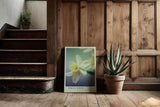 Paul Sinus Kunstdruck 40x60cm Spring Whirl Narzisse Blüte Frühling Gelb Makro Naturpastell