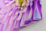 Sinus Art Wandbild 120x80cm Makro einer geöffneten Blüte – fesselnde Struktur mit leuchtendem Zentrum