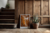 Paul Sinus Kunstdruck 40x60cm Autumn Vein mit Luftaufnahme einer Straße durch herbstlichen Wald