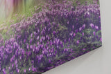 Sinus Art Wandbild 120x80cm Die lila Krokusse im Vordergrund und das Lichtspiel im Wald erzeugen eine zauberhafte Atmosphäre