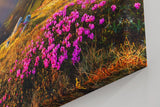 Sinus Art Wandbild 120x80cm Stimmungsvolles Landschaftsmotiv mit leuchtendem Himmel und blühender Wiese
