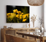 Paul Sinus Wandbild 120x80cm Gelbe Tulpen Blumen Blüten Fotokunst Sommer