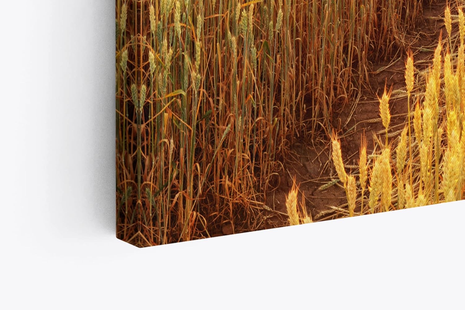 Paul Sinus Wandbild 120x80cm Weizenfeld Weizen Sonnenuntergang Baum Landschaft