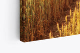 Paul Sinus Wandbild 120x80cm Weizenfeld Weizen Sonnenuntergang Baum Landschaft