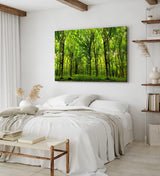 Paul Sinus Wandbild 120x80cm Wald Bäume Sonnenstrahlen Natur Grün Blätter