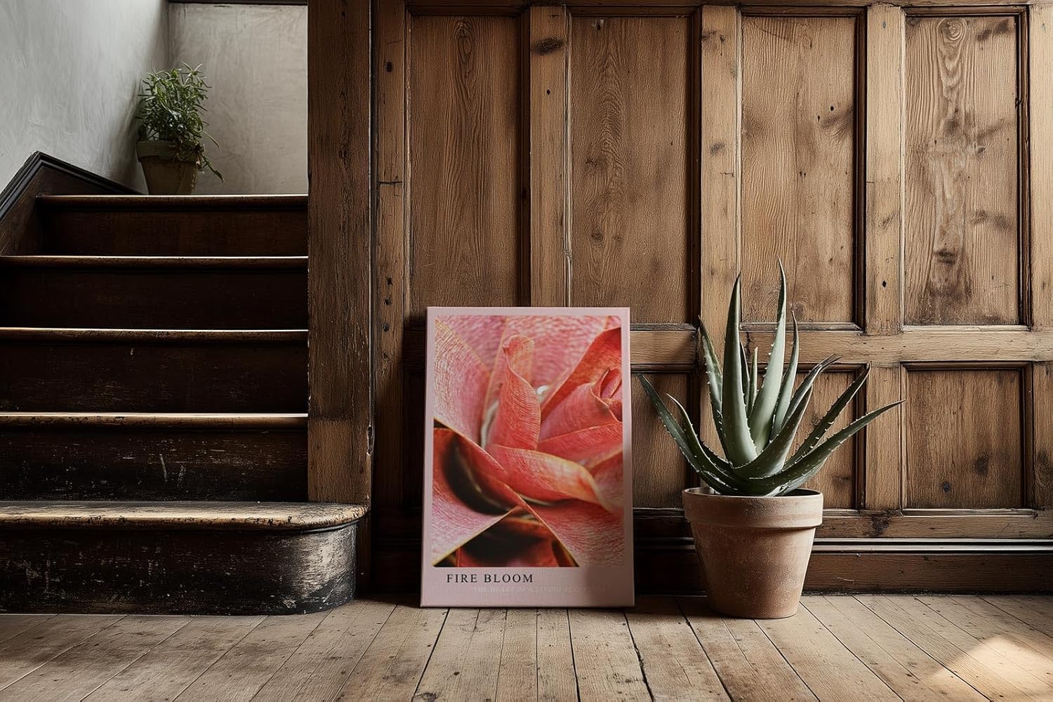 Paul Sinus Kunstdruck 40x60cm Pflanze Makro Rot Struktur Natur Tropisch Fire Bloom