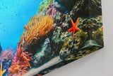 Sinus Art Wandbild 120x80cm Bunte Meeresbewohner und Korallen in einer lebendigen Unterwasserwelt