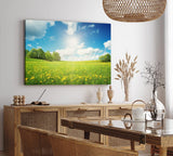 Paul Sinus Wandbild 120x80cm Sommerwiese Löwenzahn Sonnenschein Bäume Natur
