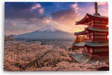 Paul Sinus Wandbild 120x80cm Japan Fuji Berg Kirschblüten Tempel Vulkan