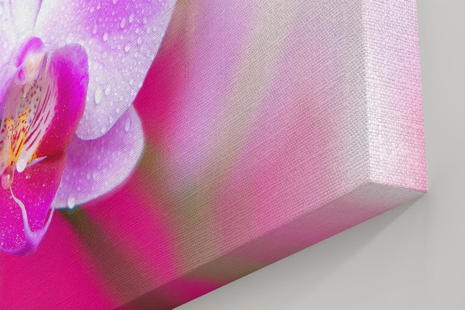 Sinus Art Wandbild 120x80cm Die Tropfen auf den Blütenblättern verleihen dem Motiv eine frische und natürliche Eleganz