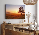 Paul Sinus Wandbild 120x80cm Baum Morgentau Sonnenaufgang Feld Natur Nebel