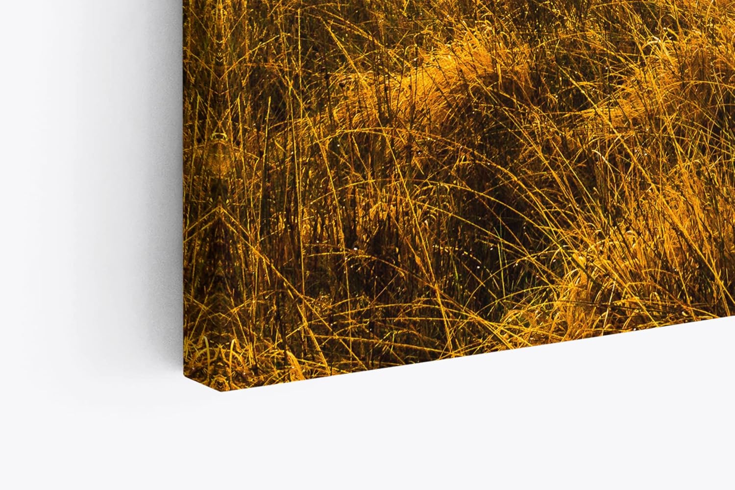 Paul Sinus Wandbild 120x80cm Landschaftsbild Natur Feld Berge dunkler Himmel