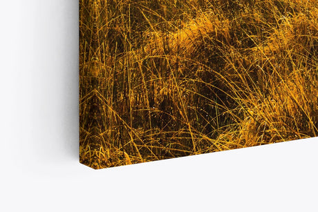 Paul Sinus Wandbild 120x80cm Landschaftsbild Natur Feld Berge dunkler Himmel