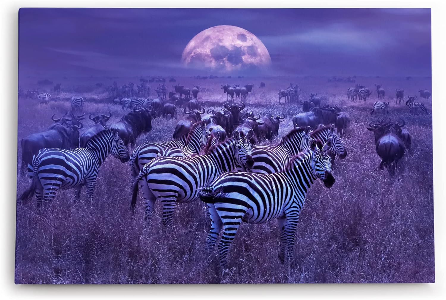 Paul Sinus Wandbild 120x80cm Afrika Landschaft Wildnis Zebras Gnus Herden Vollmond