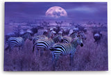 Paul Sinus Wandbild 120x80cm Afrika Landschaft Wildnis Zebras Gnus Herden Vollmond