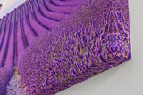 Sinus Art Wandbild 120x80cm Perfekt ausgerichtete Lavendelreihen unter farbigem Himmel für meditative Raumwirkung