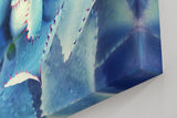 Sinus Art Wandbild 120x80cm Die symmetrische Form der Agavenblätter wirkt strukturiert, ästhetisch und beruhigend
