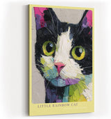 Paul Sinus Wandbild in 40x60cm Little Rainbow Cat – farbenfrohes Katzenportrait in moderner Bilder für lebendige Wohnraumgestaltung