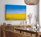 Paul Sinus Wandbild 120x80cm Rapsfeld Raps Landschaft Gelb Himmel Sommer