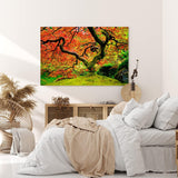 Paul Sinus Wandbild 120x80cm Großer alter Baum Grün Moos Wald Baumkrone