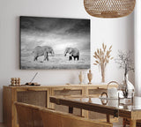 Paul Sinus Wandbild 120x80cm Zwei Elefanten Schwarz Weiß Afrika Tierfotografie