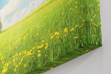 Sinus Art Wandbild 120x80cm Weite Frühlingswiese mit gelben Blüten und strahlendem Himmel für fröhliche Atmosphäre
