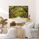 Paul Sinus Wandbild 120x80cm Baumallee Allee Bäume Straße Baumkrone Kunstvoll