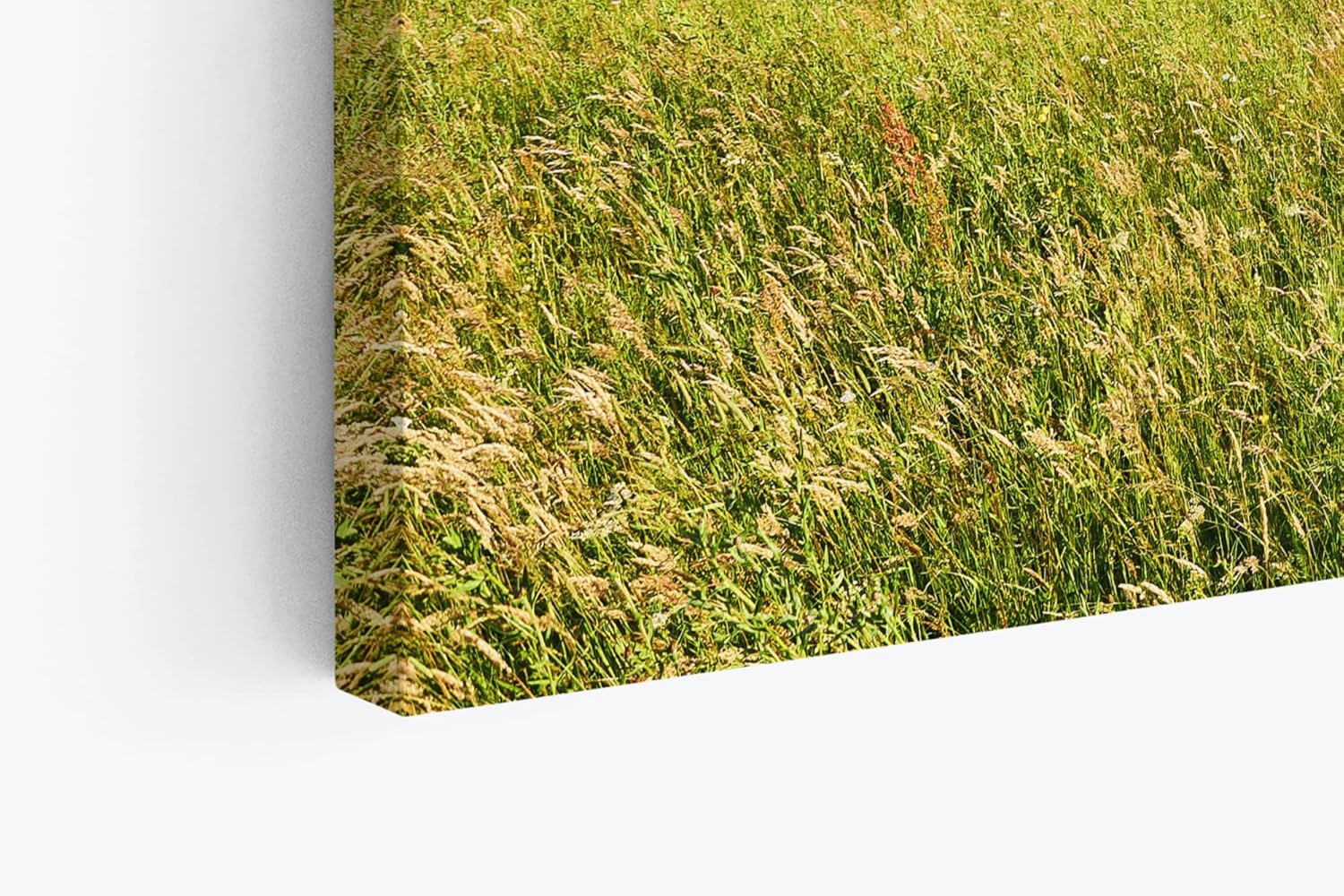 Paul Sinus Wandbild 120x80cm Alpenlandschaft Berge Gebirge Wiese Sonnenuntergang