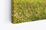 Paul Sinus Wandbild 120x80cm Alpenlandschaft Berge Gebirge Wiese Sonnenuntergang