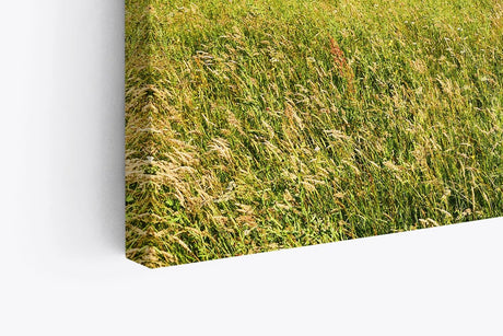 Paul Sinus Wandbild 120x80cm Alpenlandschaft Berge Gebirge Wiese Sonnenuntergang