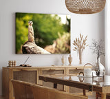Paul Sinus Wandbild 120x80cm Erdmännchen auf einen Stein Tierfotografie Afrika