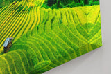 Sinus Art Wandbild 120x80cm Gestufte Reisterrassen in leuchtendem Grün vor Bergkulisse und weitem Himmel