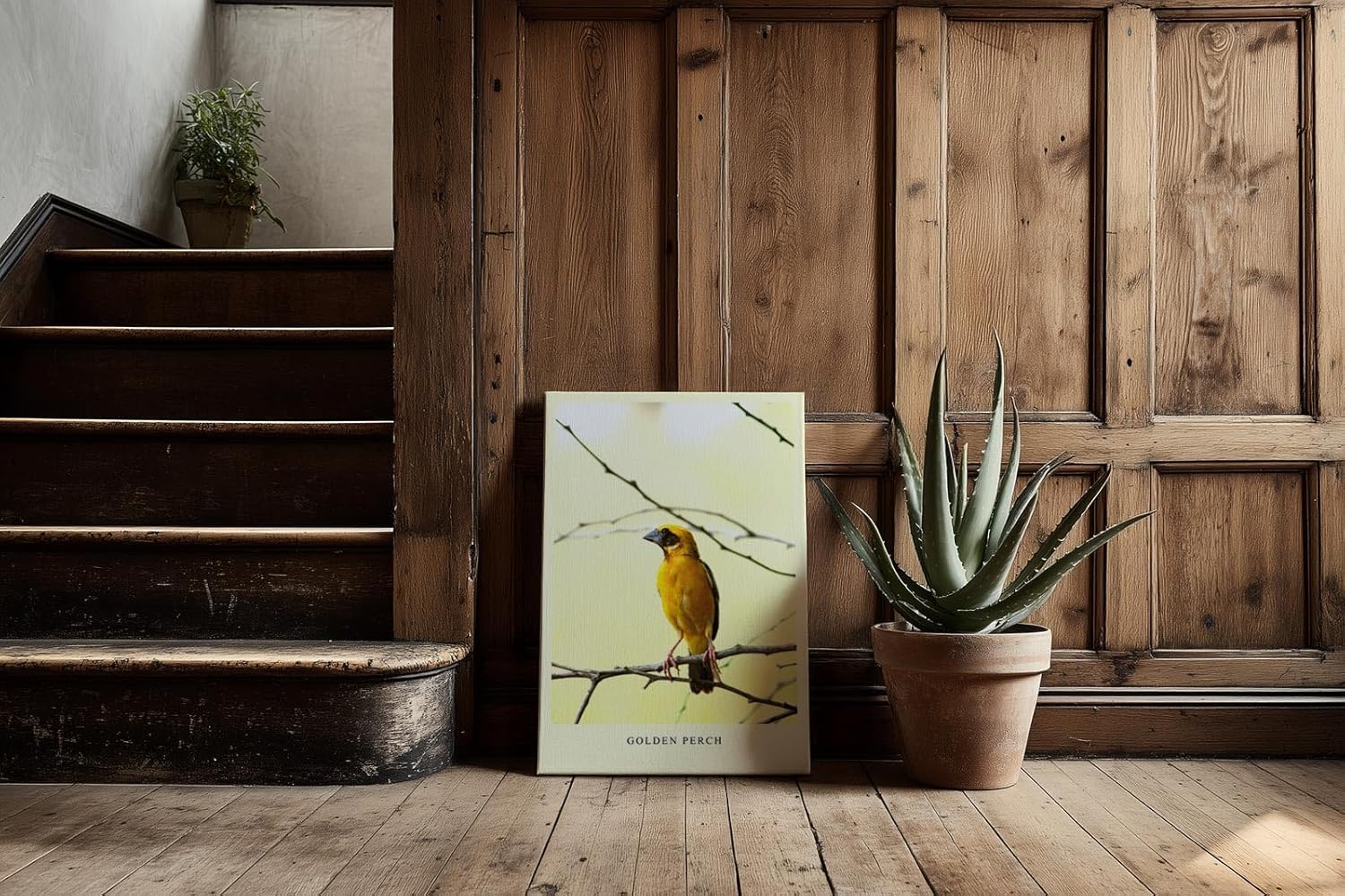 Paul Sinus Kunstdruck 40x60cm Golden Perch mit gelbem Singvogel auf Ast vor hellem Hintergrund