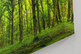 Sinus Art Wandbild 120x80cm Dichte Baumreihen und leuchtendes Laub schaffen eine friedliche, harmonische Stimmung