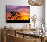 Paul Sinus Wandbild 120x80cm Afrikanische Landschaft Burkea Africana Bäume Sonnenuntergang